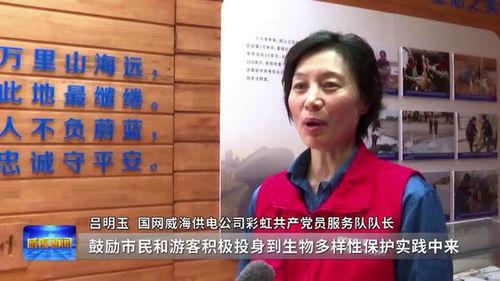 威海供电公司新闻爆料,保障电力供应，助力城市发展